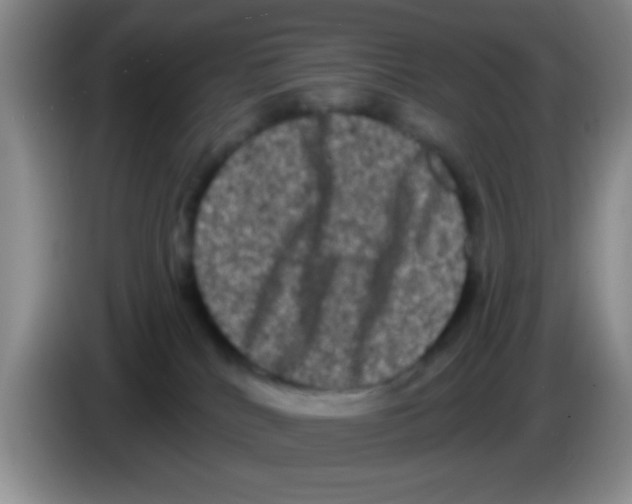 X0000083570040200703091647
