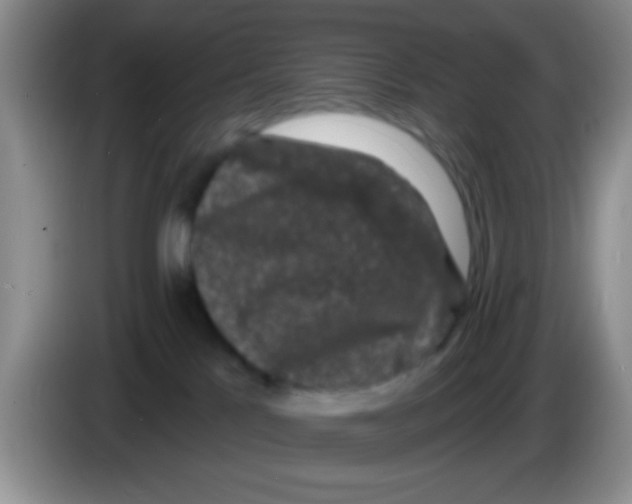 X0000083570041200703091647