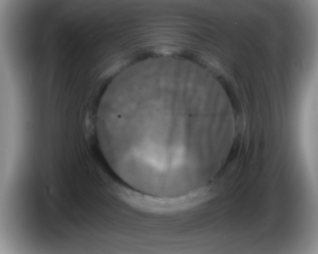 X0000083570043200703091647