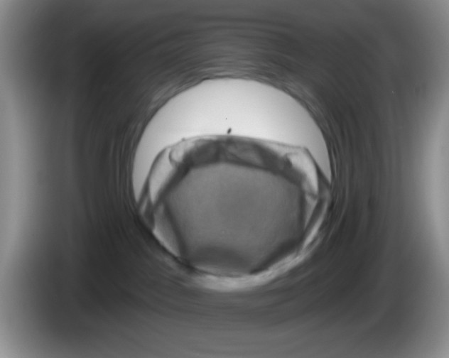 X0000083570045200703091647