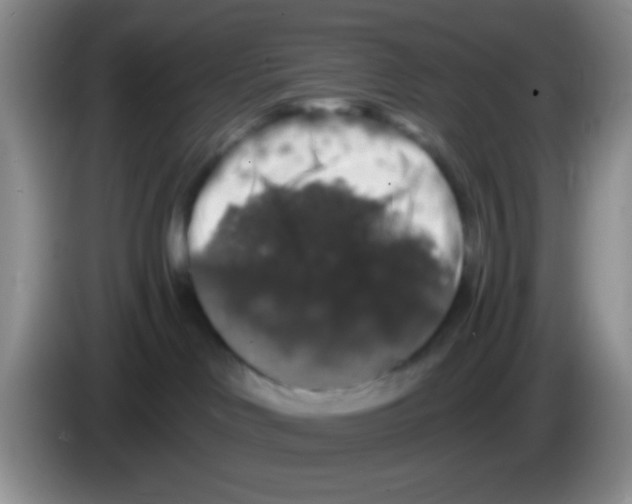 X0000083570046200703091647