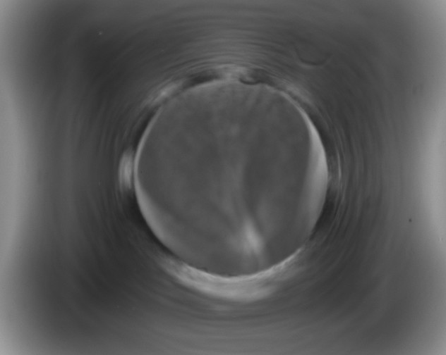 X0000083570047200703091647