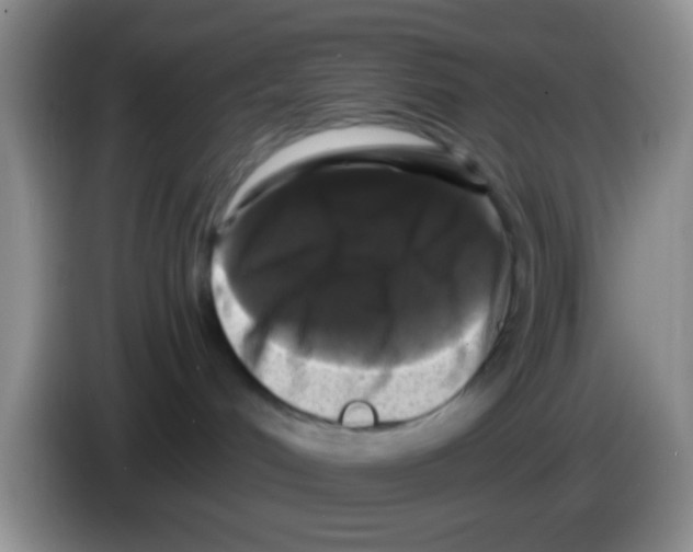 X0000083570048200703091647