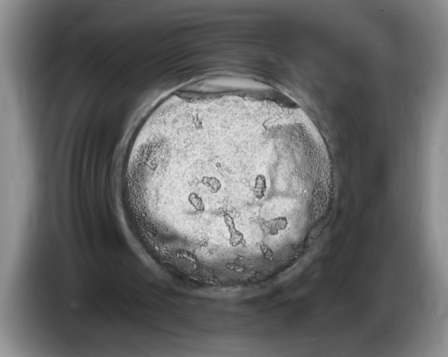 X0000083570049200703091646