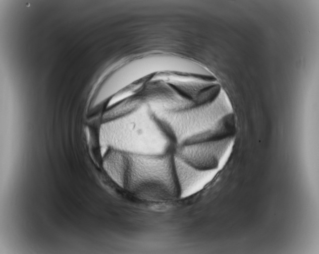 X0000083570050200703091646