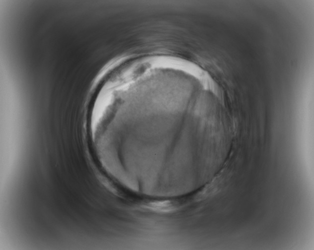 X0000083570054200703091646