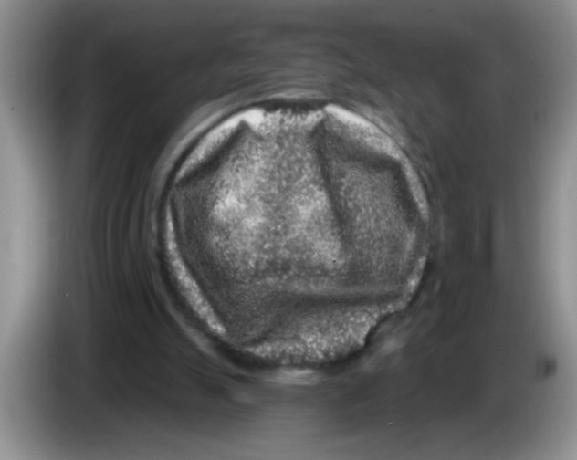 X0000083570055200703091646