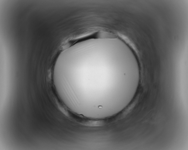 X0000083570057200703091646