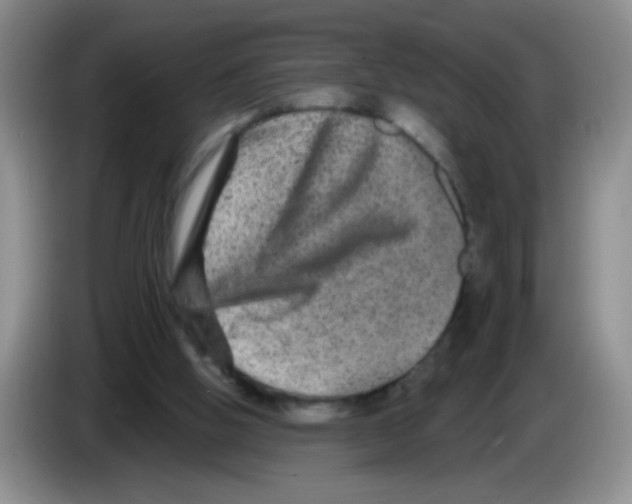 X0000083570058200703091646