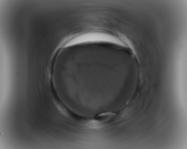 X0000083570059200703091646