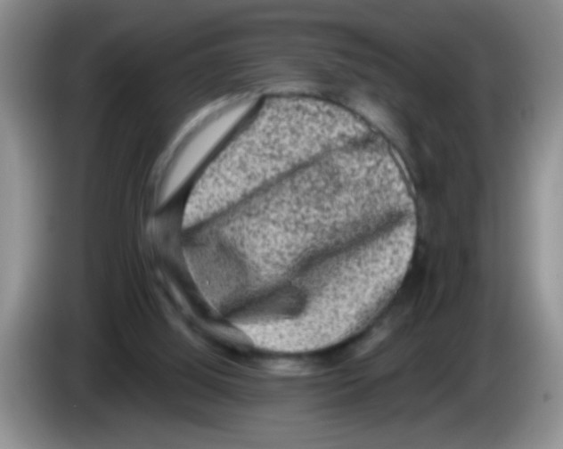 X0000083570060200703091646