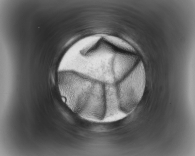 X0000083570062200703091646