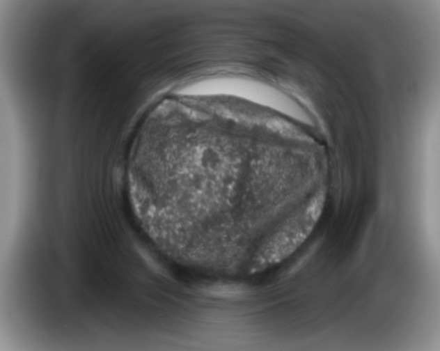 X0000083570063200703091646