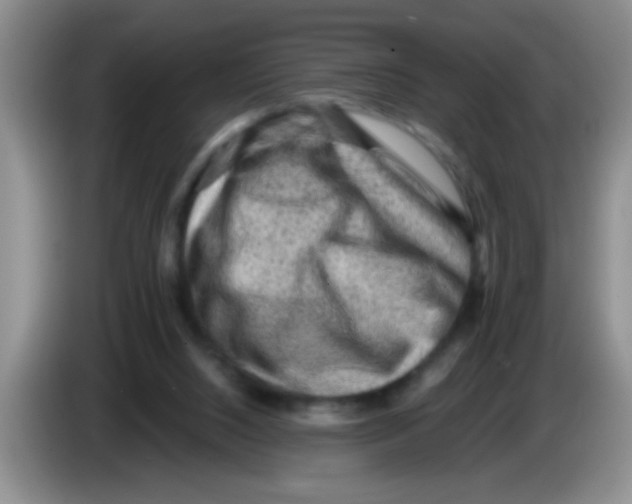 X0000083570064200703091646