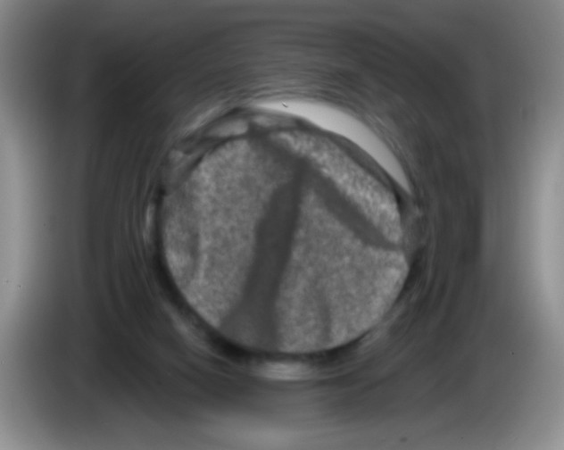 X0000083570066200703091646