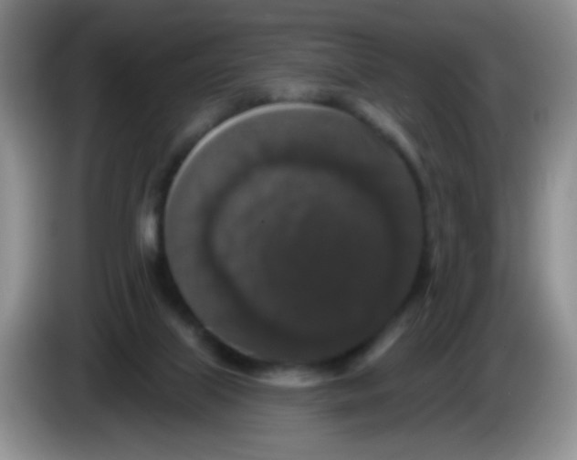 X0000083570067200703091646