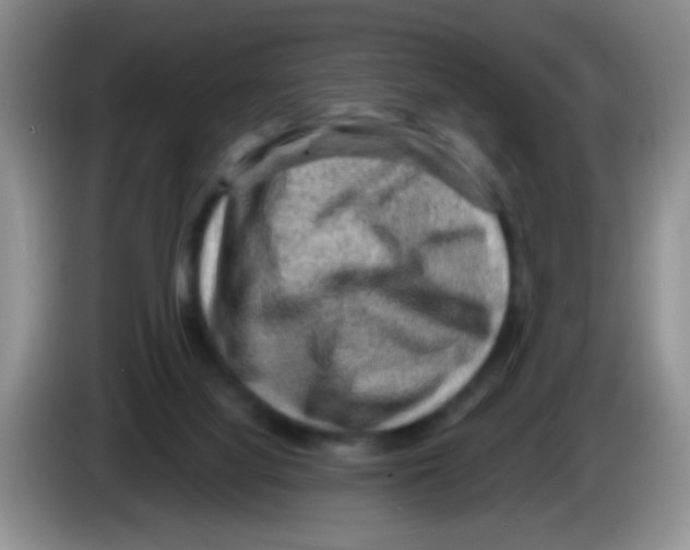 X0000083570068200703091646