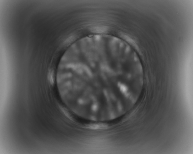 X0000083570069200703091646