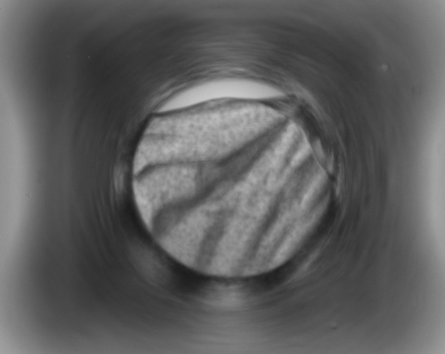 X0000083570071200703091646