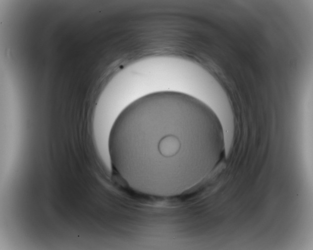 X0000083570072200703091646