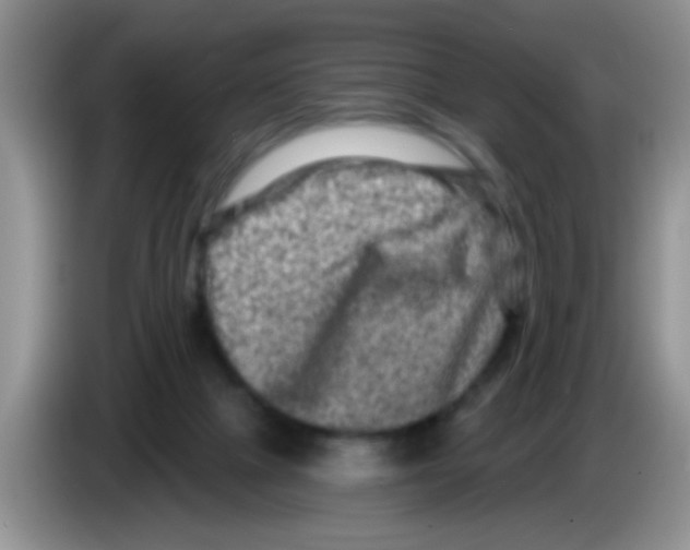 X0000083570073200703091646
