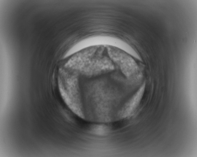 X0000083570074200703091646