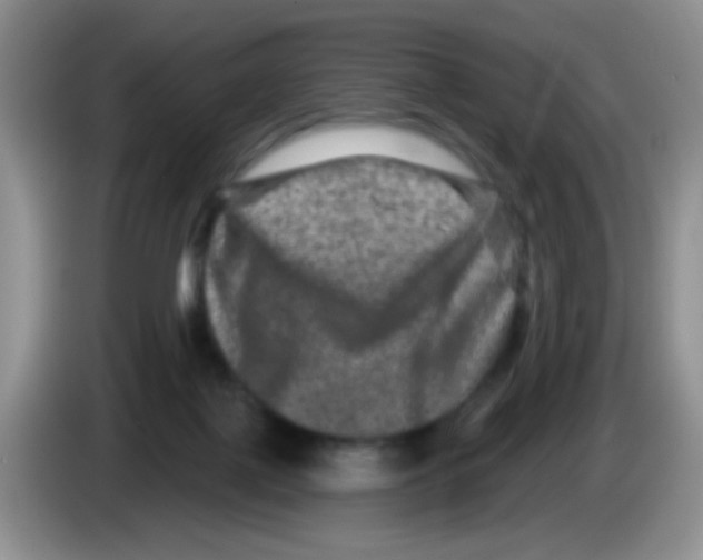 X0000083570075200703091646