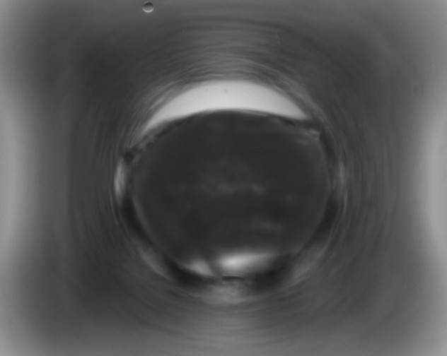 X0000083570076200703091646