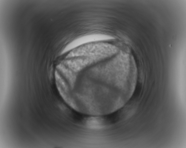 X0000083570077200703091646