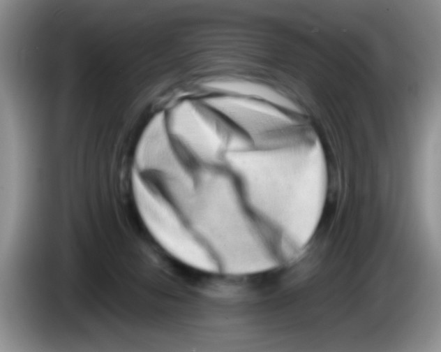 X0000083570078200703091646