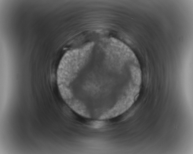 X0000083570085200703091646