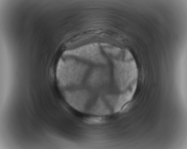 X0000083570086200703091646