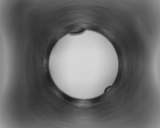 X0000083570087200703091646