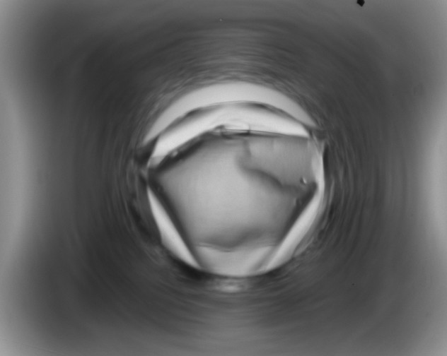 X0000083570088200703091646
