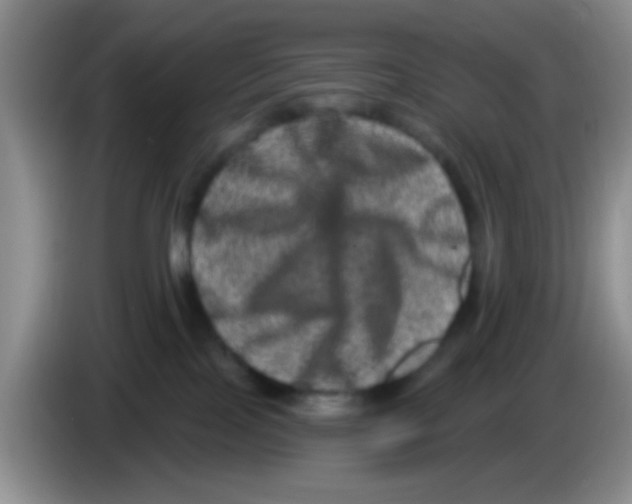 X0000083570089200703091646
