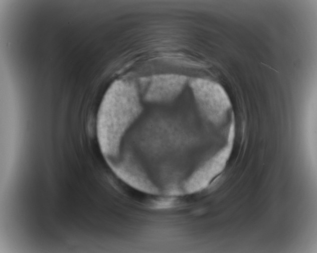 X0000083570090200703091646
