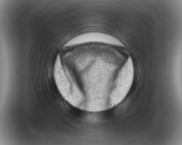 X0000083570093200703091646