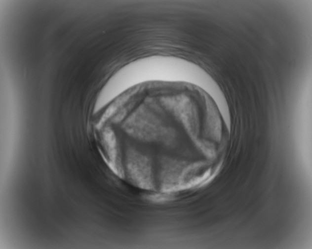 X0000083570094200703091646