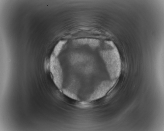 X0000083570095200703091646