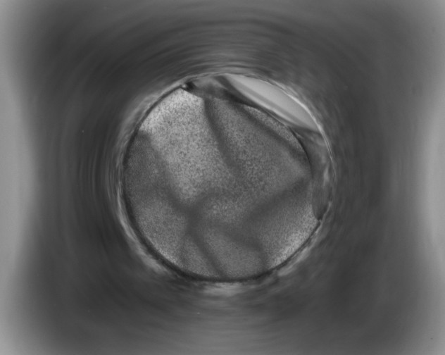 X0000083570097200703091646