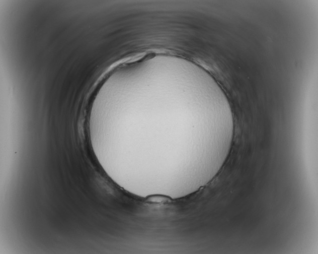 X0000083570098200703091646