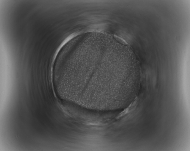 X0000083570100200703091646