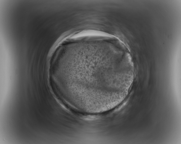 X0000083570101200703091646