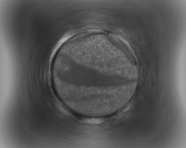 X0000083570102200703091646