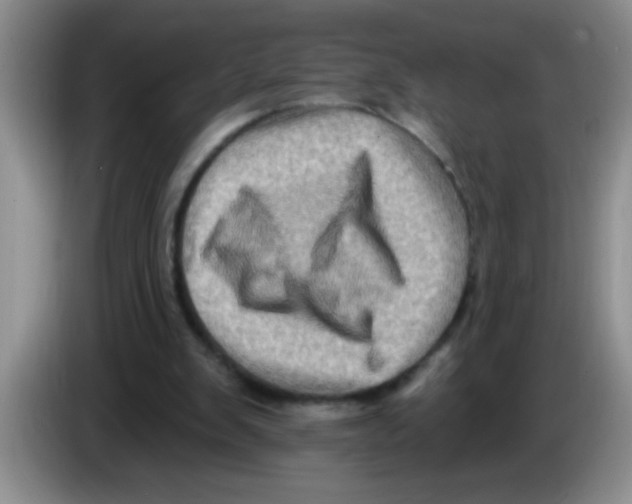 X0000083570103200703091646