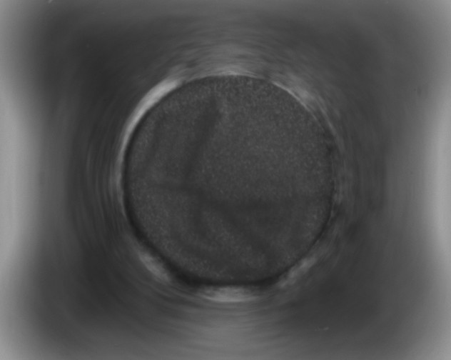 X0000083570104200703091646
