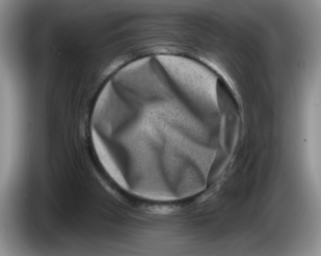 X0000083570105200703091646