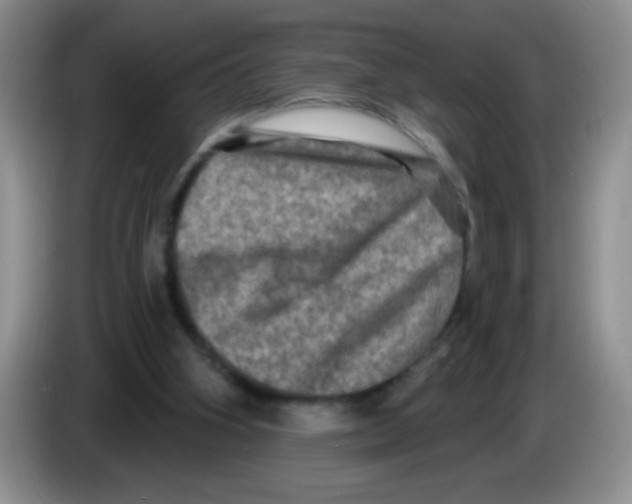 X0000083570106200703091646