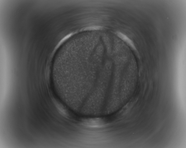 X0000083570108200703091646