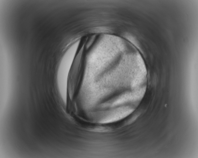 X0000083570109200703091646